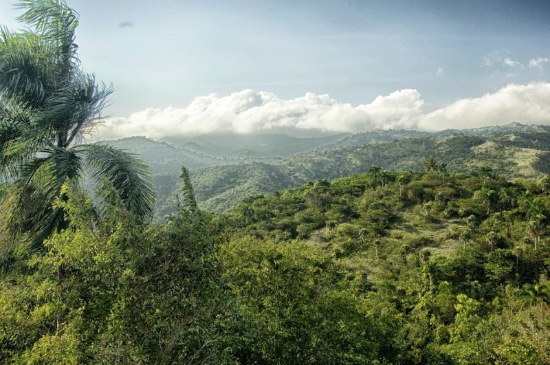 The Wild Side of the Dominican Republic - The Manual