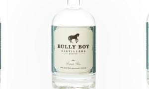 bully boy