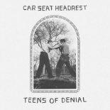 car-seat-headress-album-art