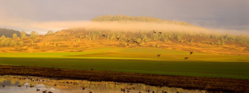 Willamette Valley