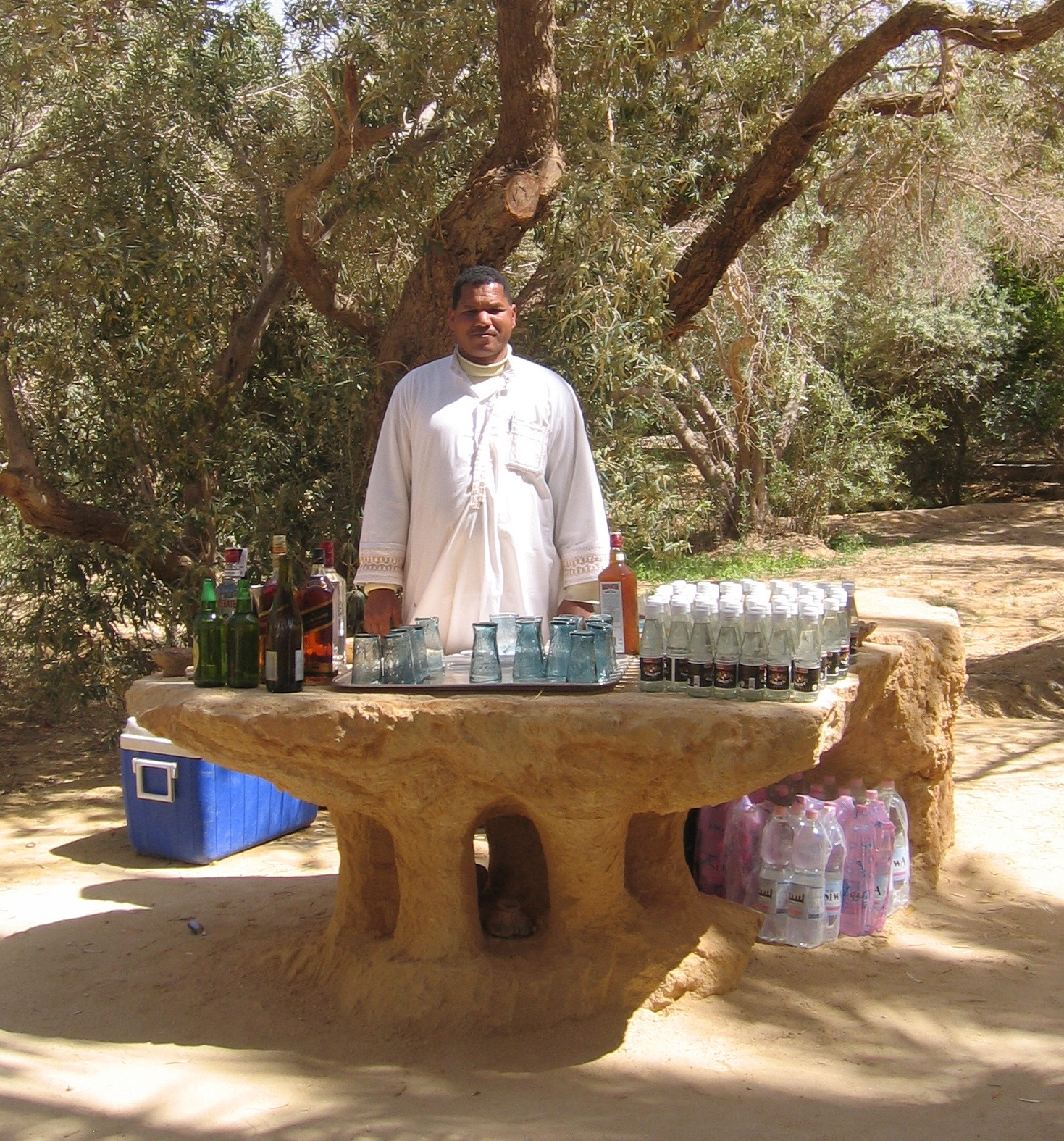 egypts eco lodge our bartender at lunch