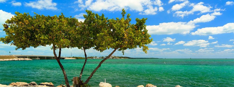 best of key west