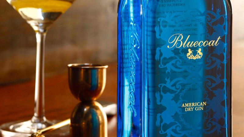 Bluecoat-Gin-4