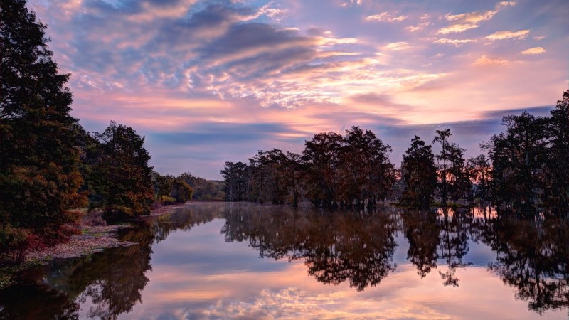 Stock-Cajun-Country-Louisiana