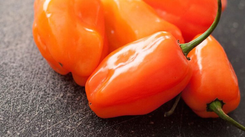 Hot sauce peppers