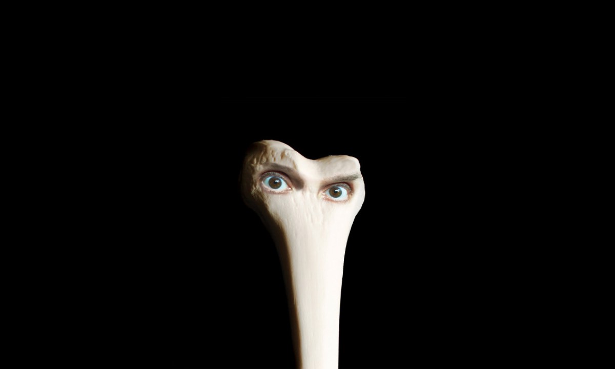 juana-molina-cover