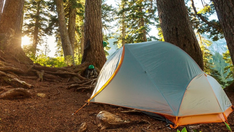 camping packing list, tent in a forested campsite