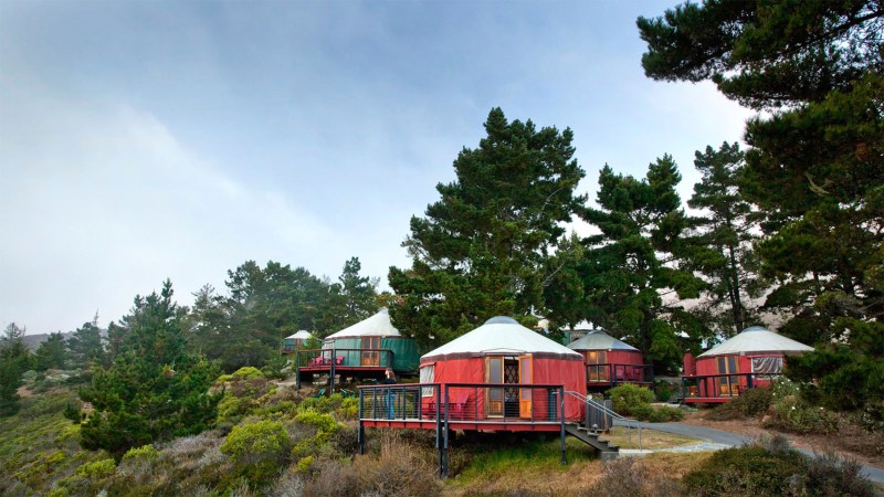 tree bones resort luxury yurt