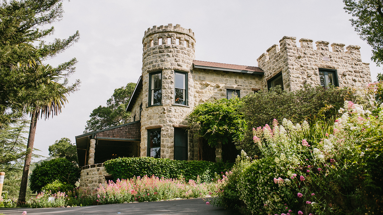 Napa Valley Vineyard