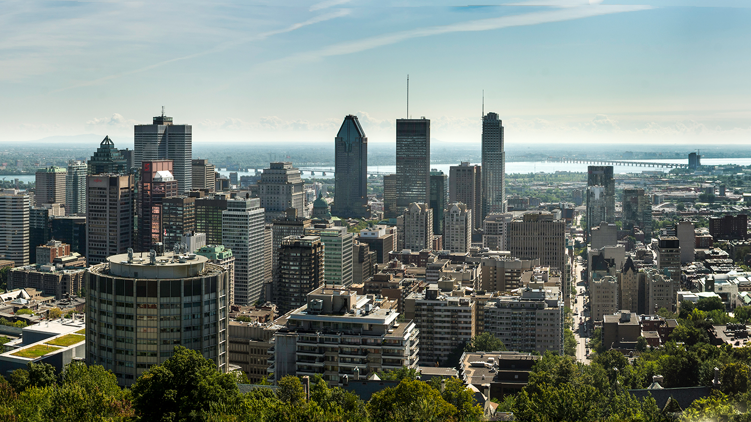 Skyline of Montréal from the Mount Royal Park