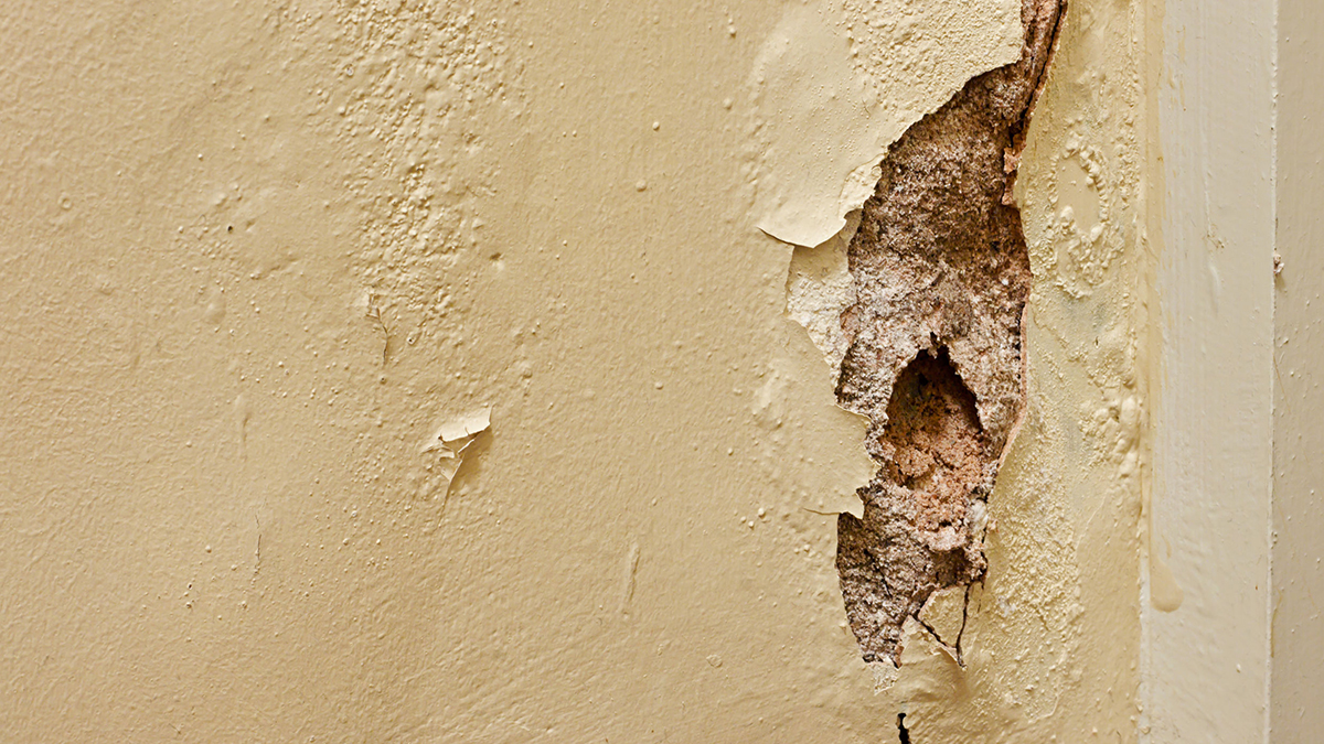 How to Fix a Hole in the Wall: A DIY Patching Guide | The Manual
