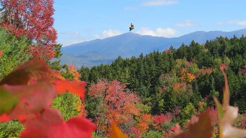 fall foliage tours Canopy Tour at Bretton Woods
