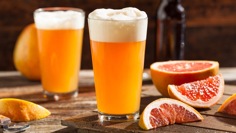 shandy