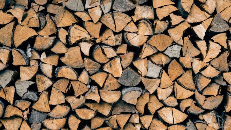 Stacked firewood