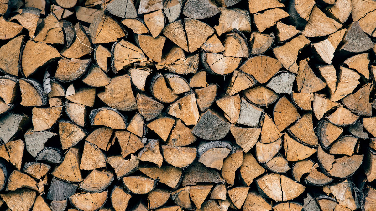 Stacked firewood