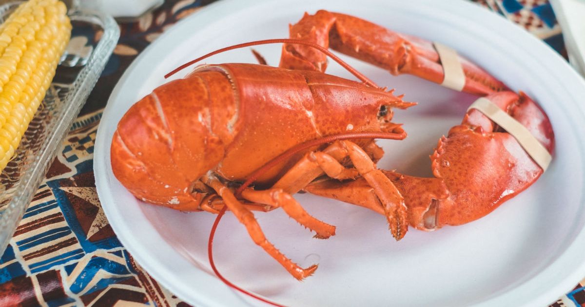 How to Cook Lobster: An Easy Guide to Boiling, Grilling, and ...