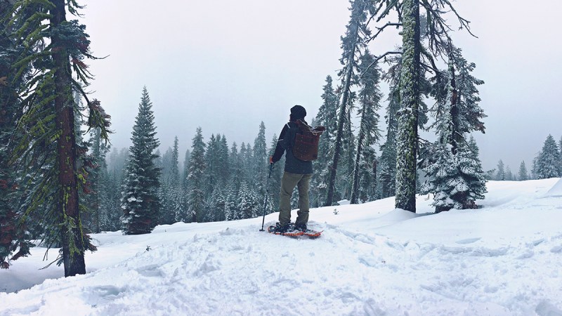 tips for snowshoeing in the snow