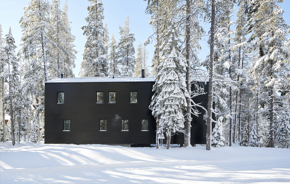 architecture troll hus california chalet trollhus08