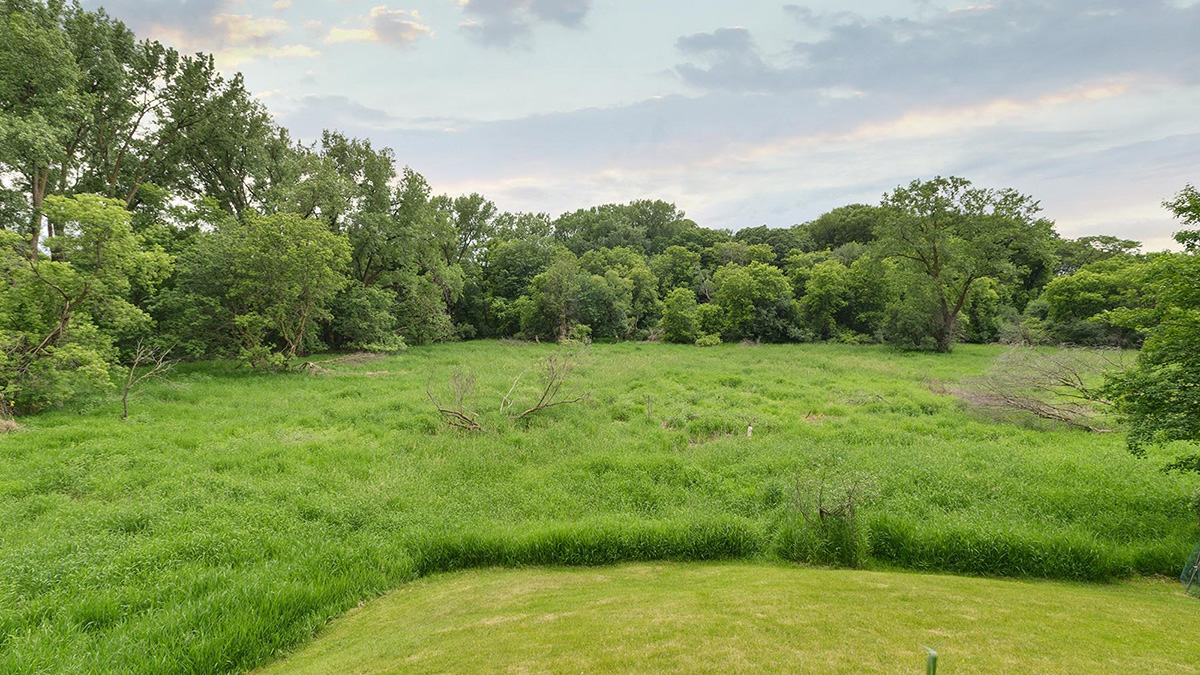 Olfelt House backyard