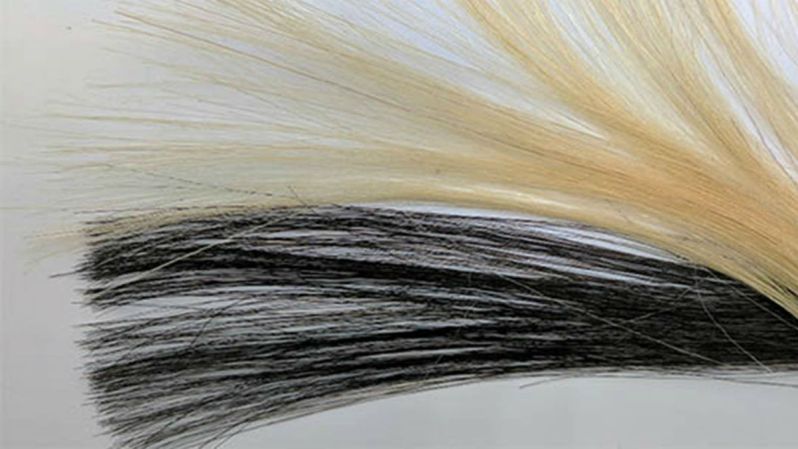 huang-graphene-hair-dt