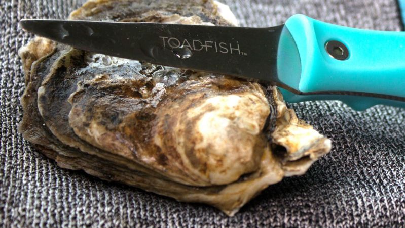 toadfish outfitters giveaway oyster knife