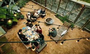 backyard bbq