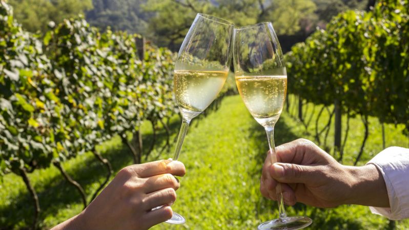 brazilian sparkling wine cheers toast glass