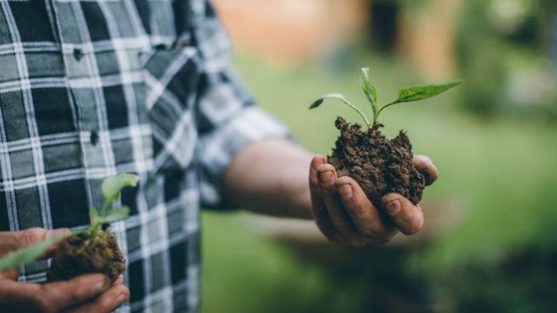 man gardening tools dirt plants