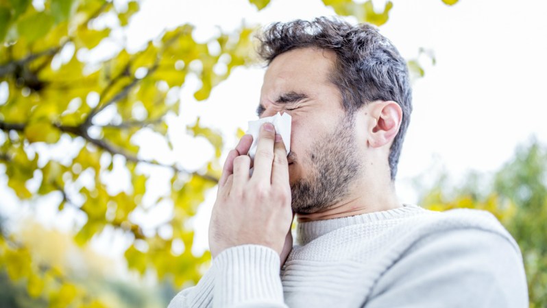 how to get rid of allergies