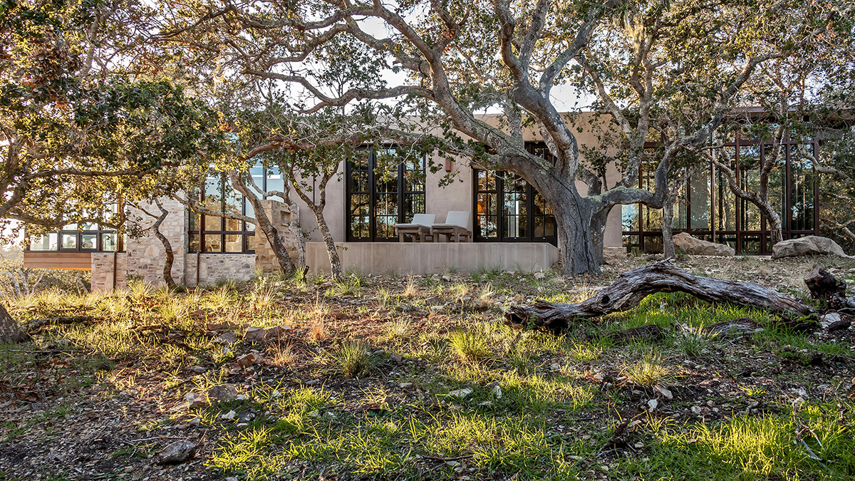 Tehama 1 house trees