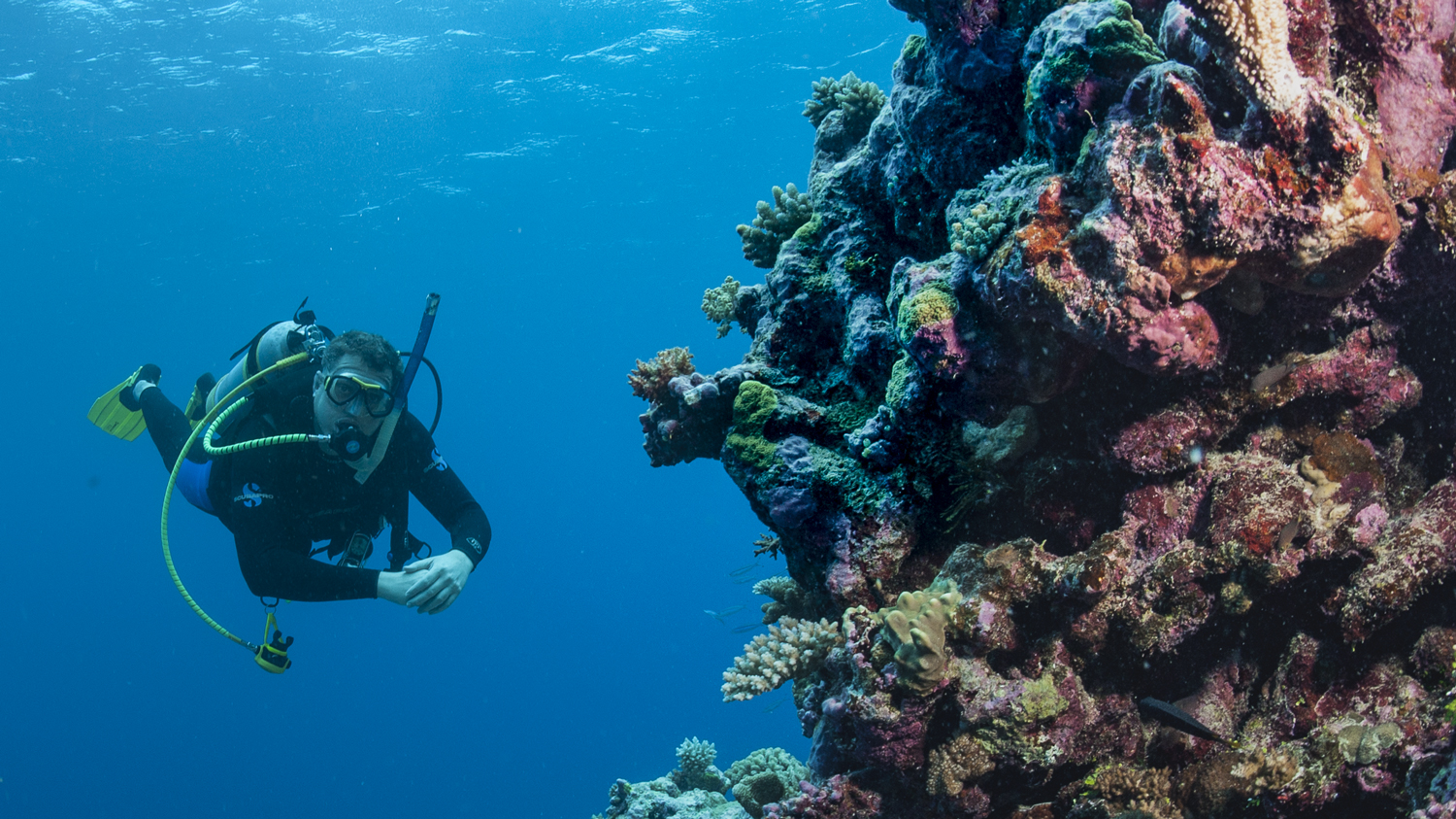 Australia Barrier Reef