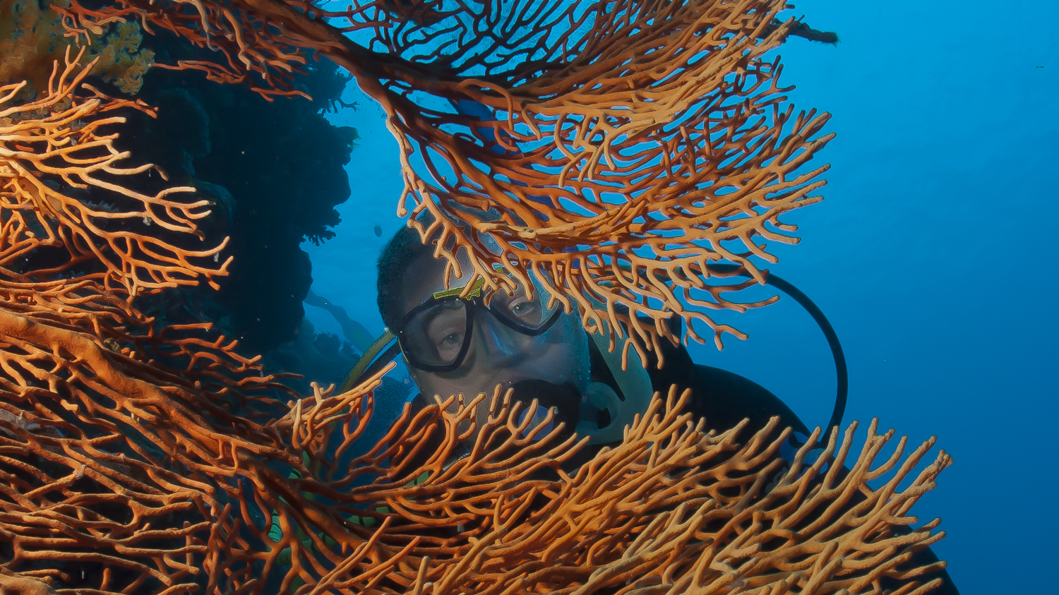 Australia Barrier Reef