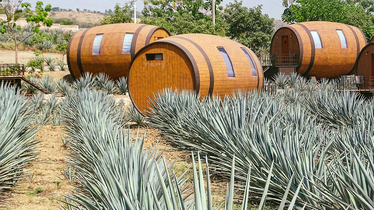 sleep in a giant tequila barrel at one of kind mexican distillery hotel matices de barricas exterior