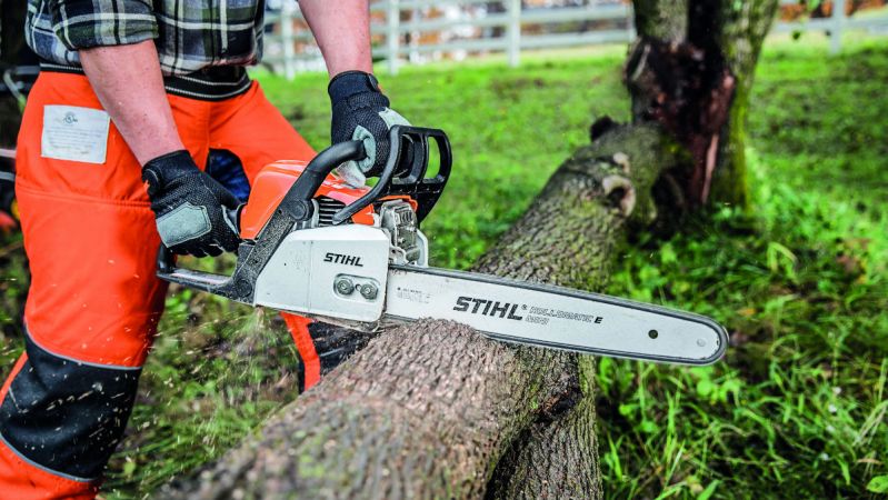 stihl chainsaw tree