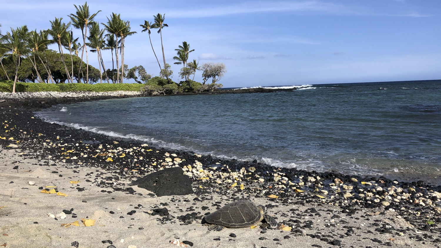 hawaii 2018 trip