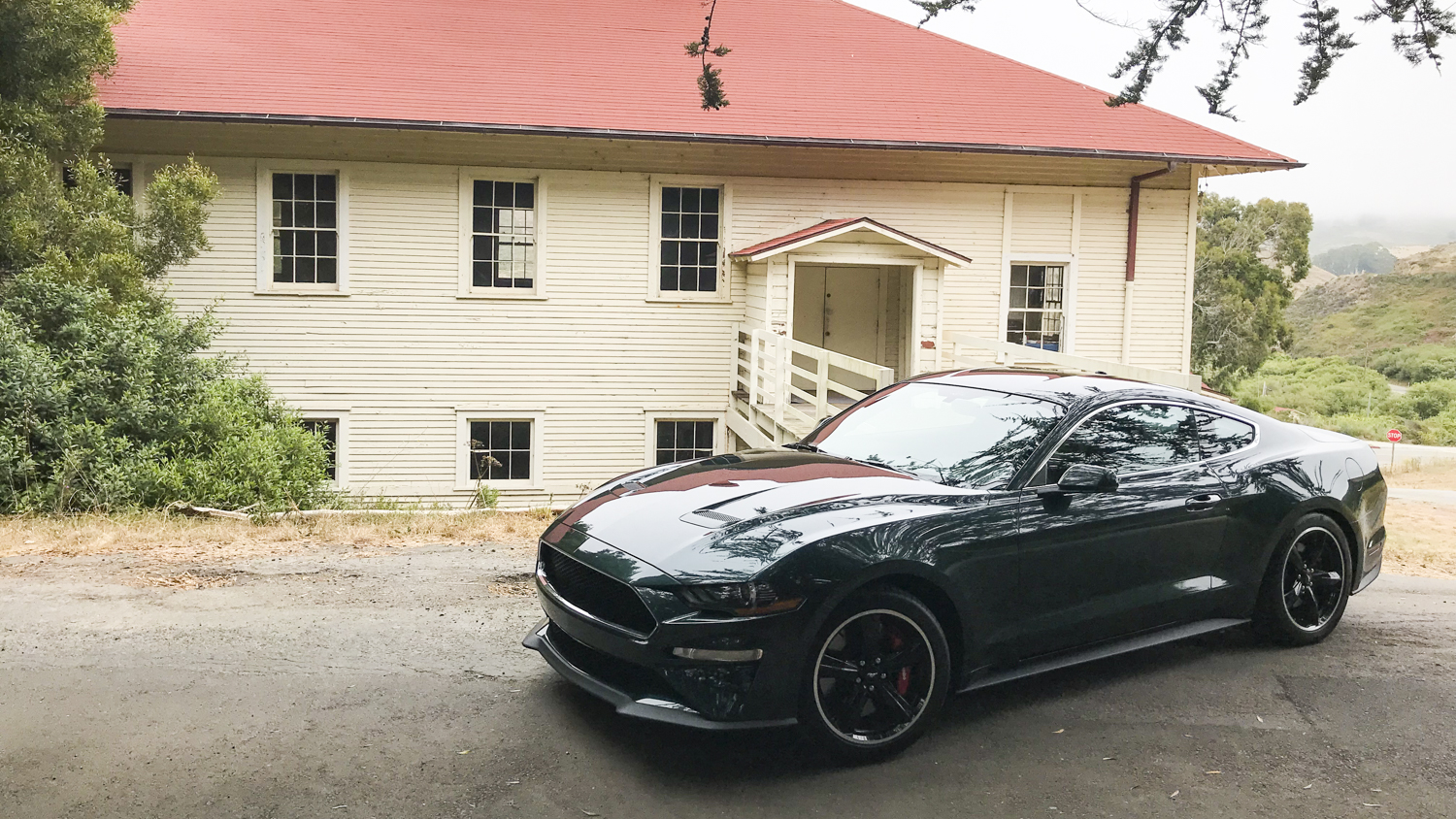 2019 Mustang Bullitt