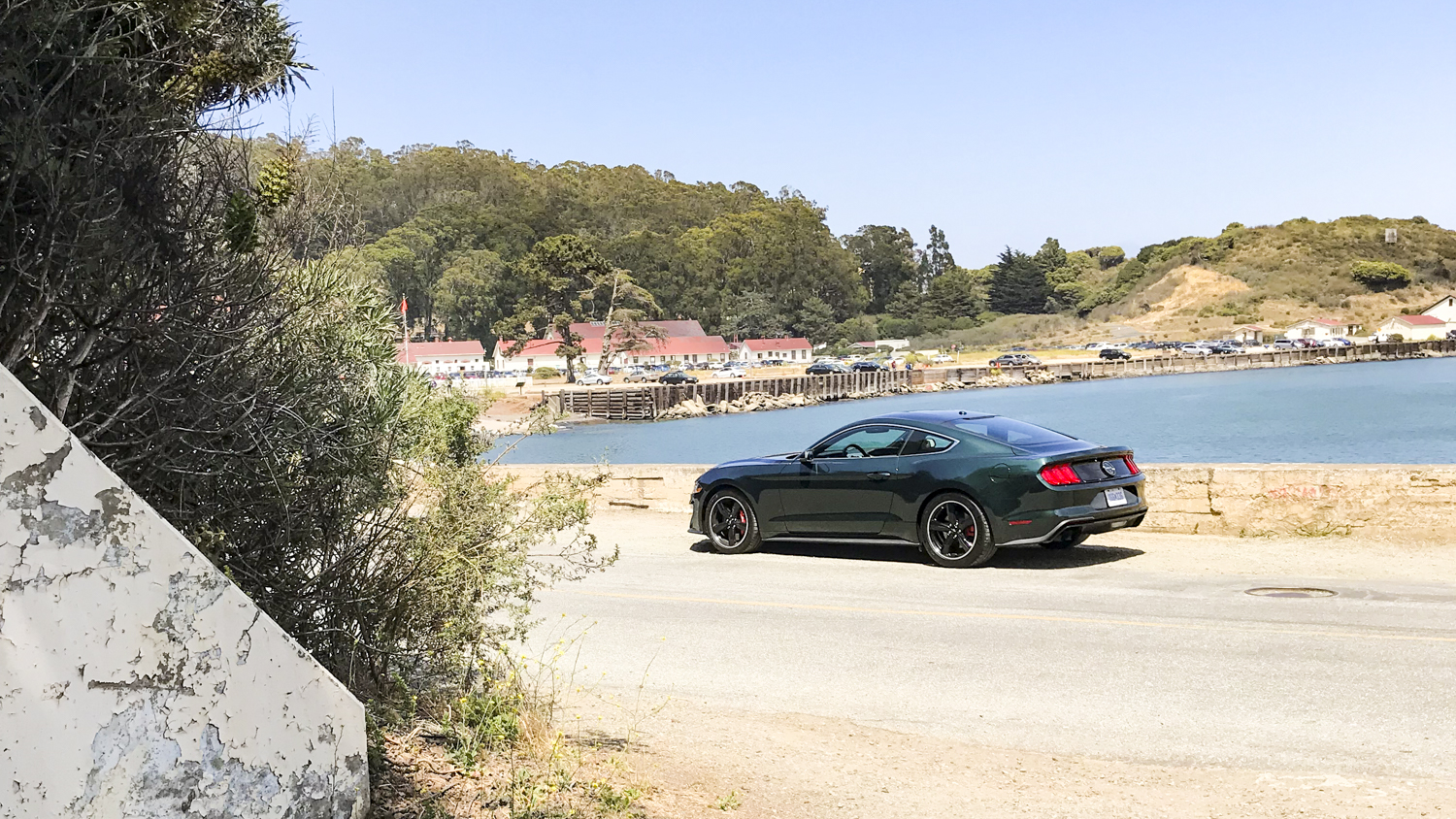 2019 Mustang Bullitt