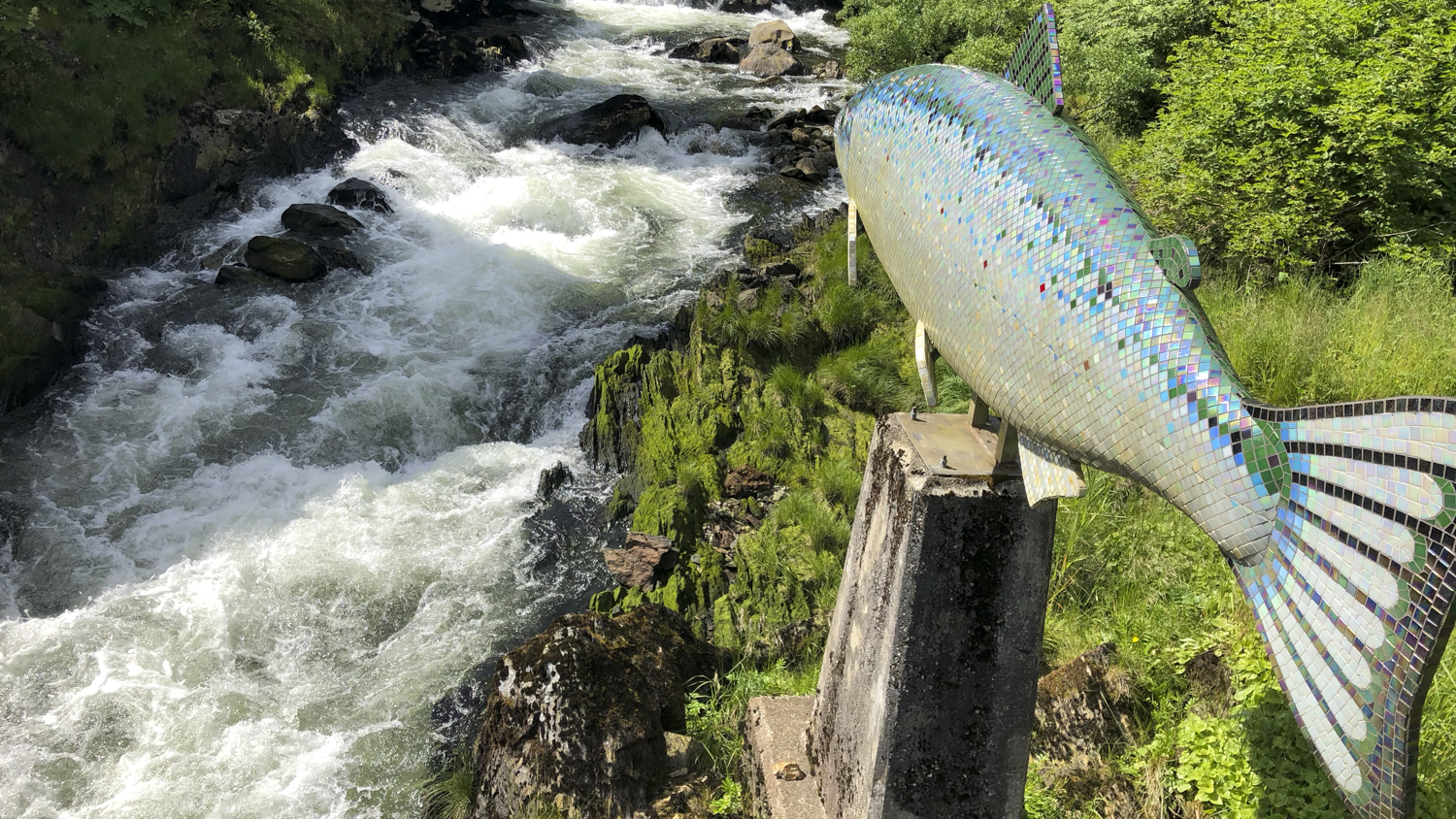 Alaska Waterfall Resort