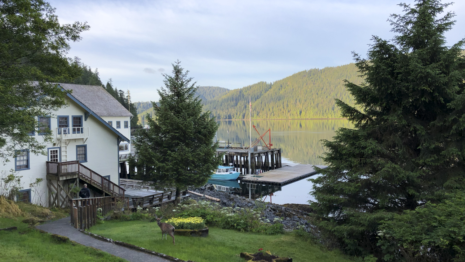 salmon fishing in alaska waterfall resort buildings 8