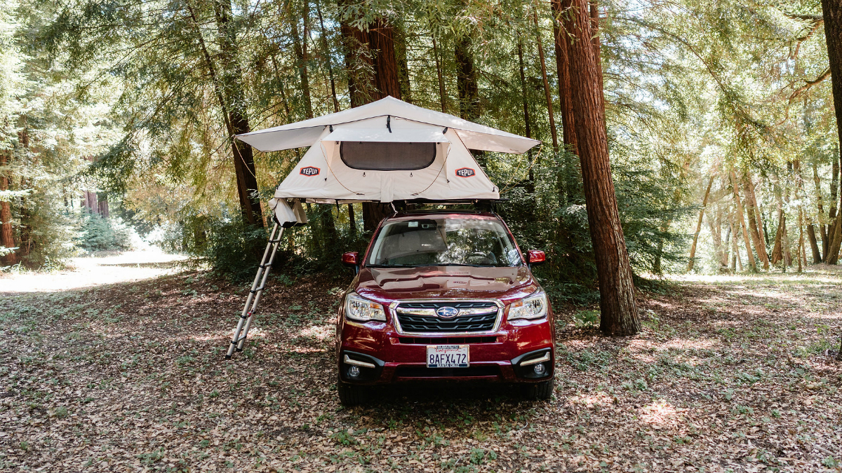 tepui rooftop tents overview gear low pro 2