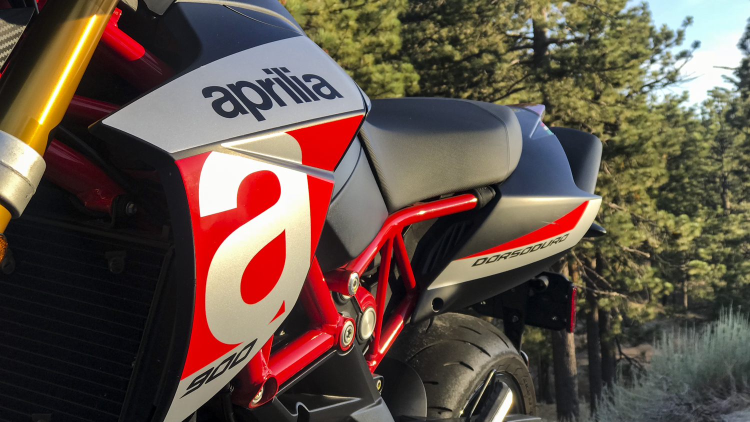 Being Pushed by the Aprilia Dorsoduro 900 Is an Absolute Confidence