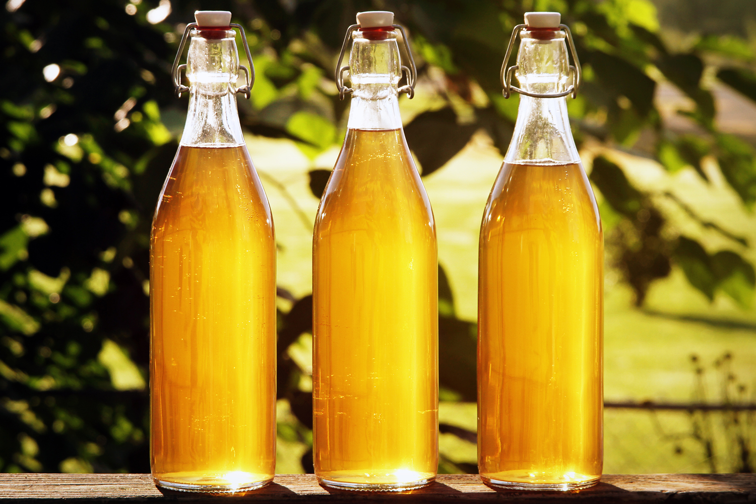 bottles of mead