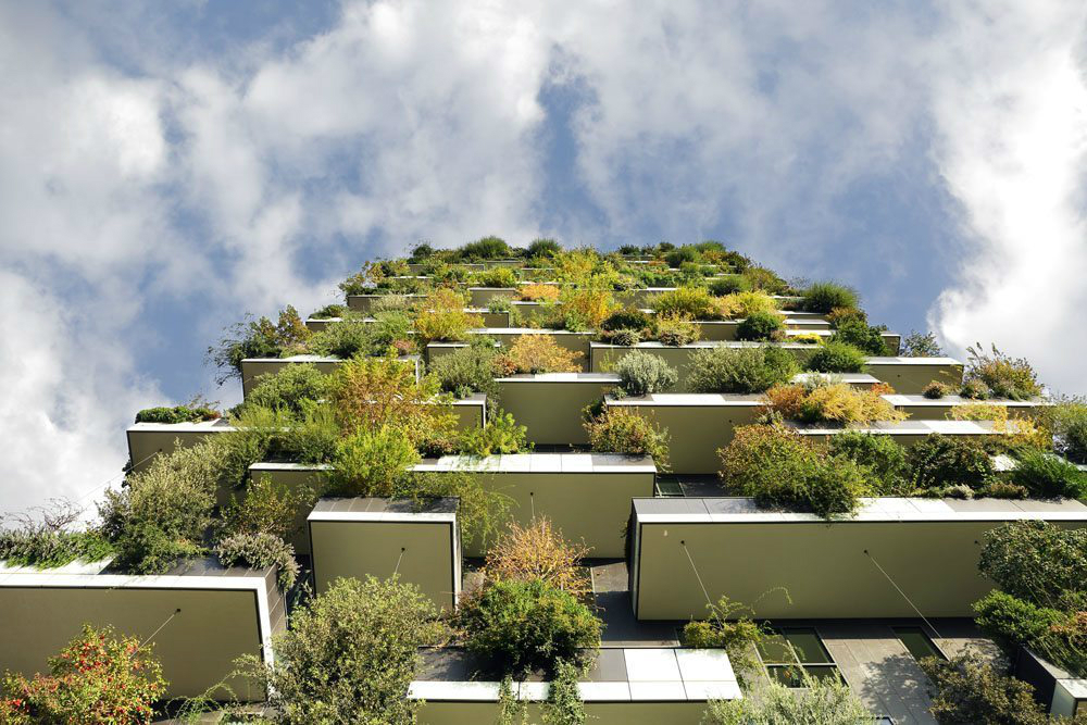vertical forests stefano boeri buildings forest 1