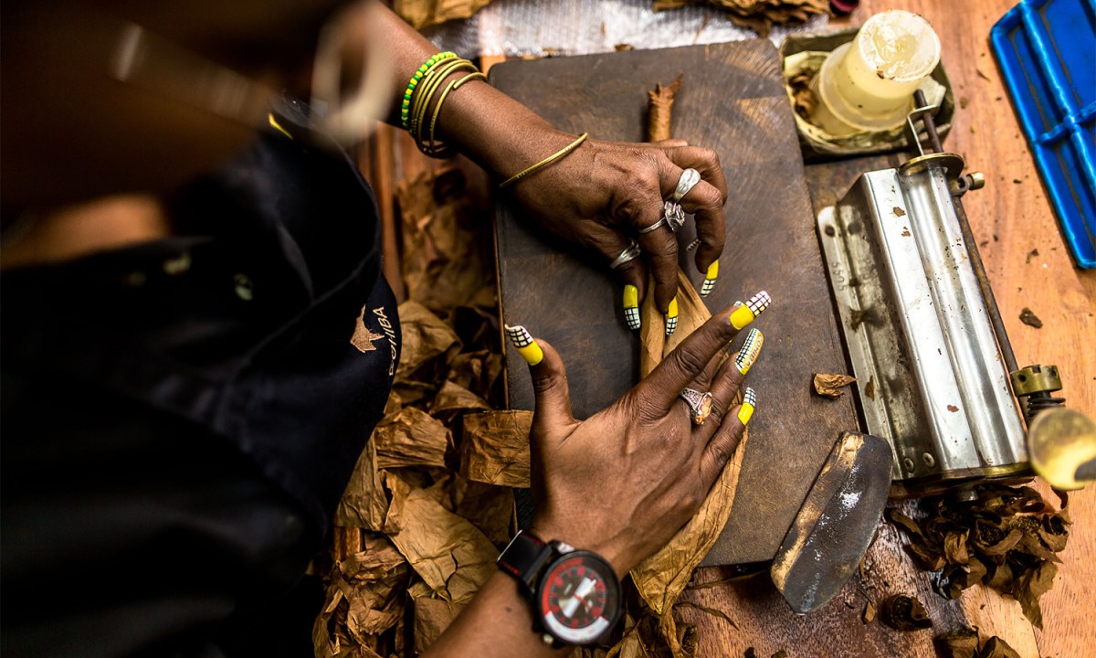 A worker makes Cohiba cigars