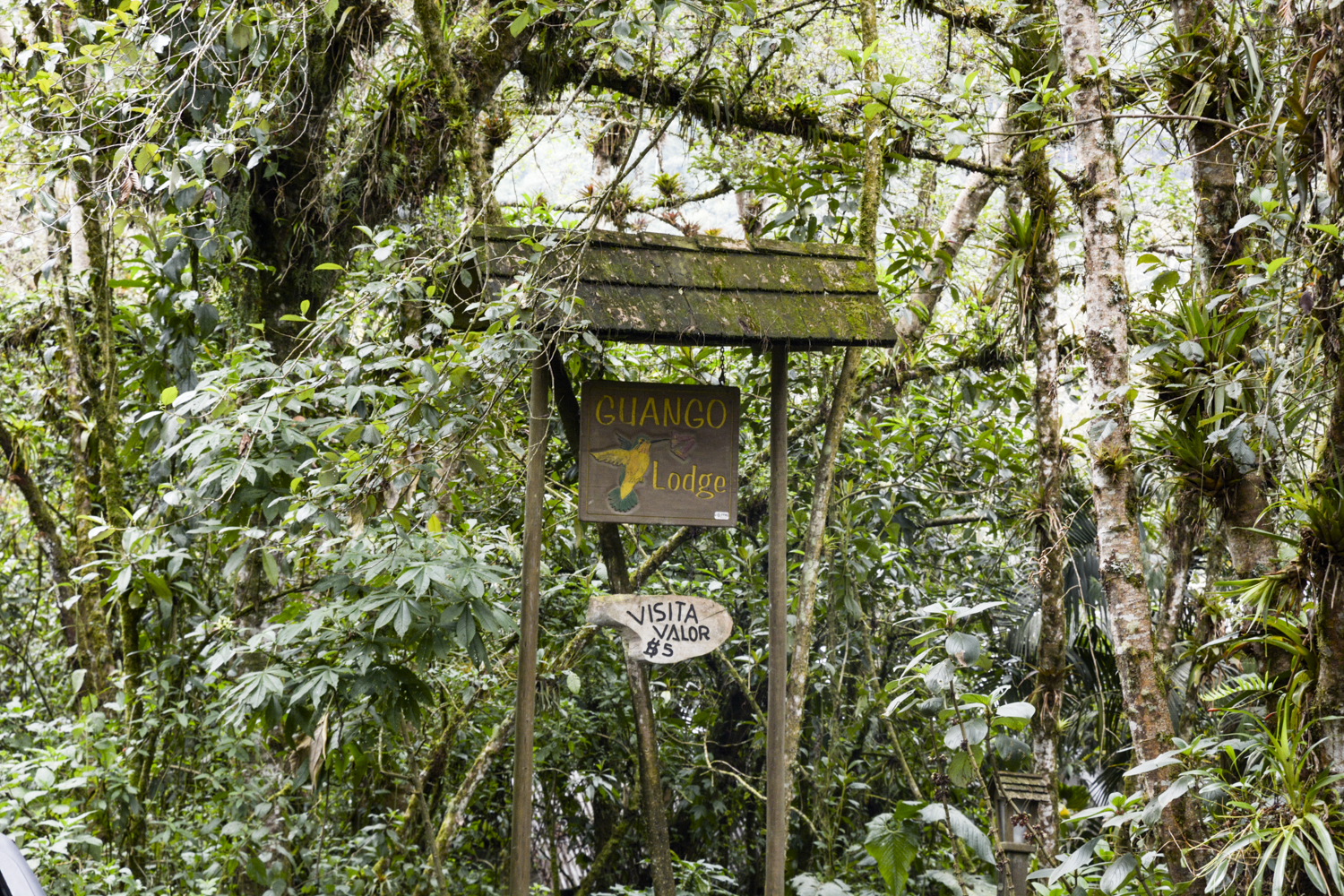 best things to do in ecuador quito otavalo banos places visit ecuador43