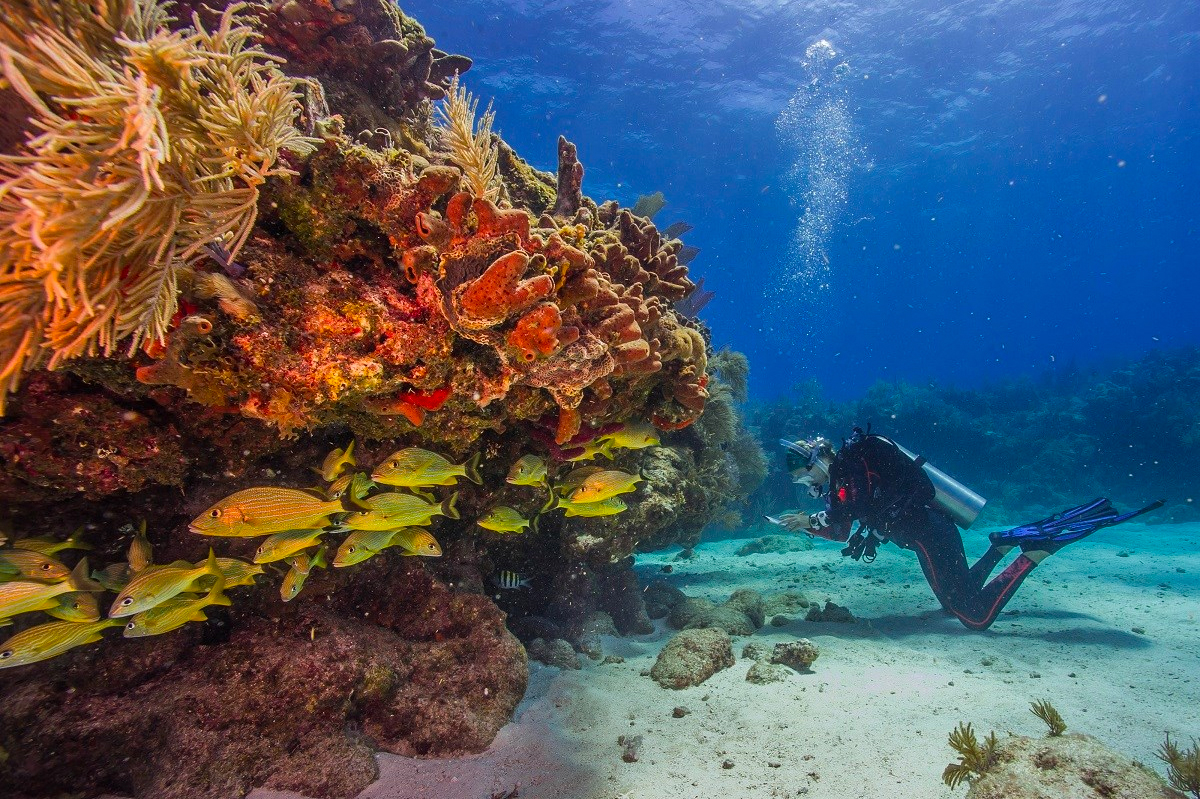 biscayne national park