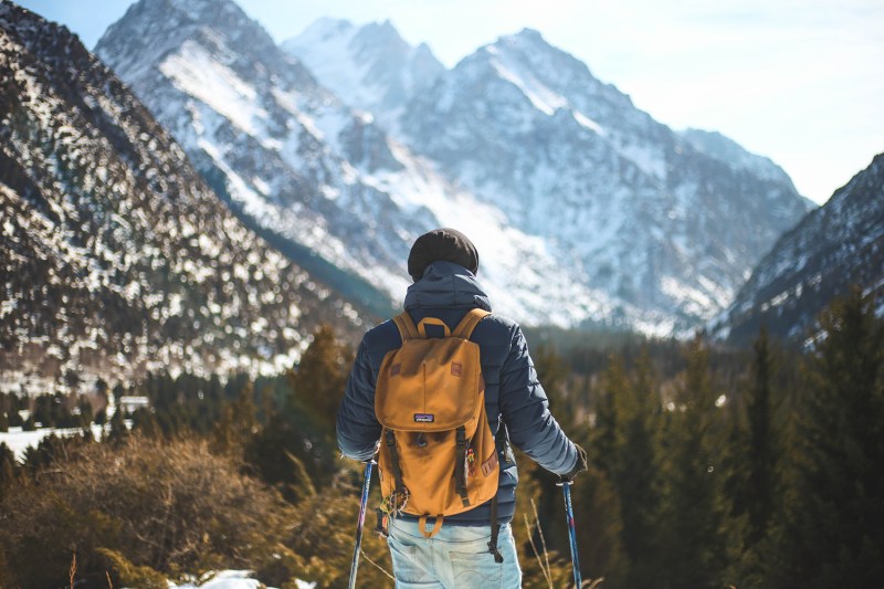 View from behind of a skier looking out at a mountain range in the distance.