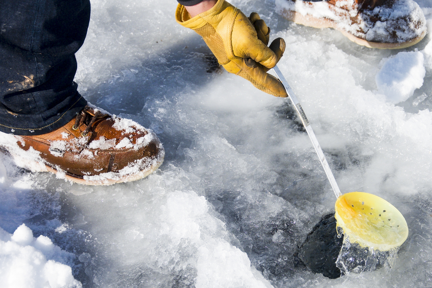 How to Ice Fish: Everything You Need to Know Before You Go - The