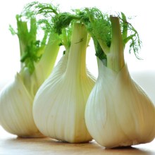 fennel bulbs