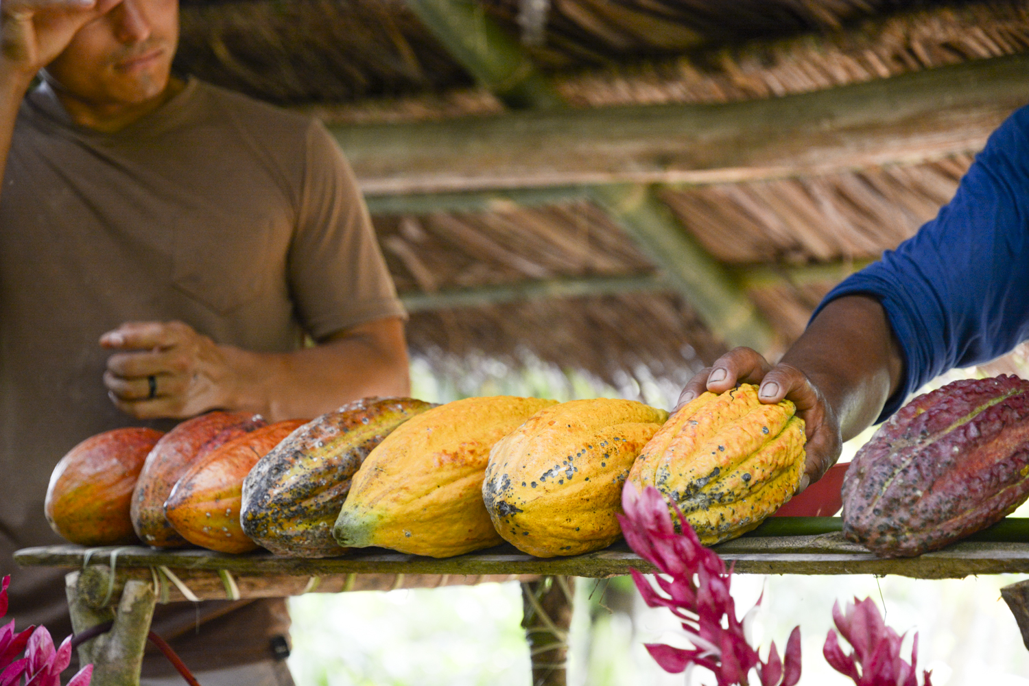 contiki tours me and we ecuador travel experience to minga learning center 1010